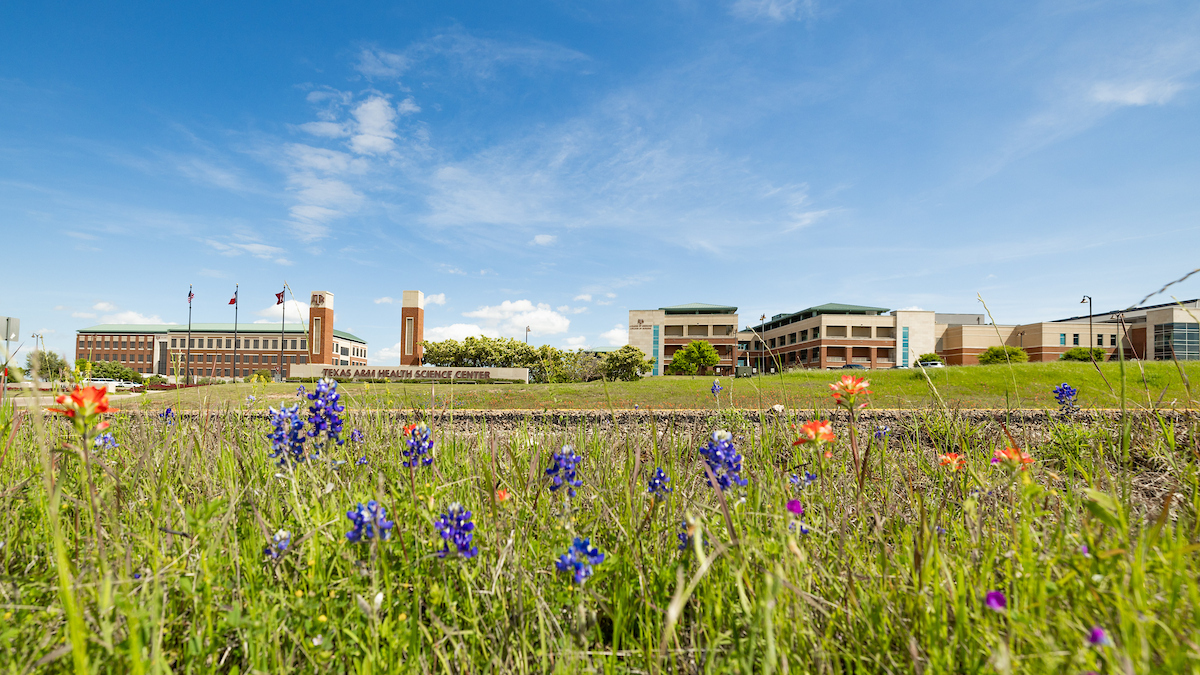 Texas A&M health science center