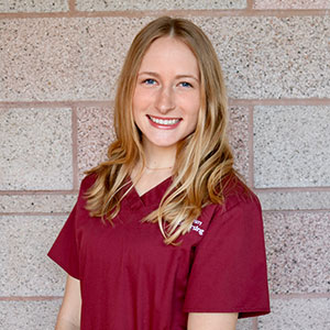 Nursing, Traditional BSN